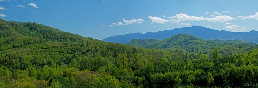 About Our Independent Insurance Agency Spruce Pine, NC